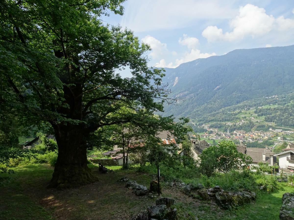 Casa Zizì Villa Crodo Esterno foto